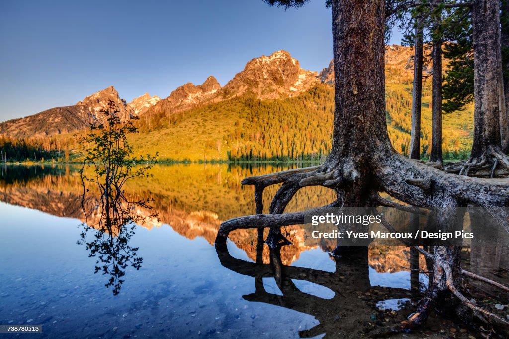 String Lake Loop Teton Range And String Lake At Sunrise Grand Teton National Park High ...