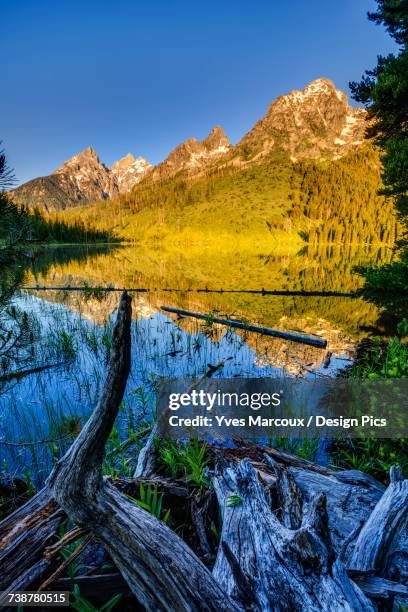 String Lake Spring String Lake Photos and Premium High Res Pictures - Getty Images