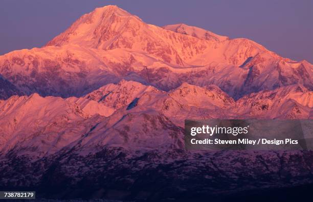 alpenglow on denali at sunrise, viewed from denali viewpoint south along the parks highway in early winter - denali highway stock pictures, royalty-free photos & images