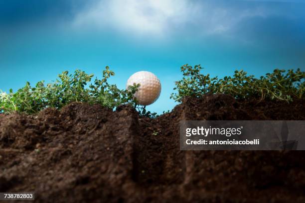 close-up of a golf ball on a golf tee - soil cross section stock pictures, royalty-free photos & images