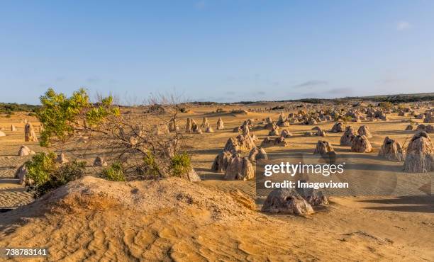 the pinnacles, nambung national park, perth, western australia, australia - perth landmarks stock pictures, royalty-free photos & images