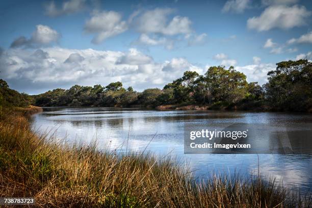 Lak, South Perth, Western Australia, Australia