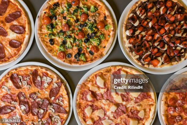 pizza selection - einige gegenstände mittelgroße ansammlung stock-fotos und bilder