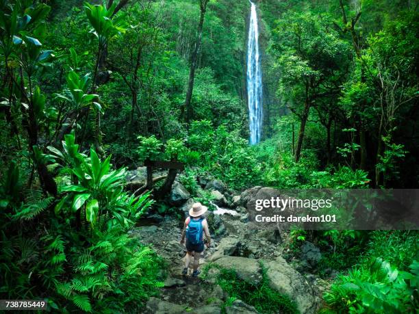 woman hiking towards a waterfall, maui, hawaii, america, usa - water fall hawaii - fotografias e filmes do acervo