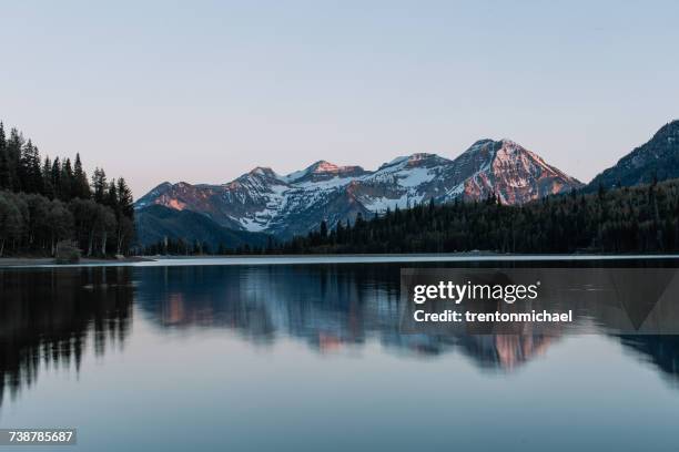 american fork canyon, utah, america, usa - wasatch-mountains stockfoto's en -beelden