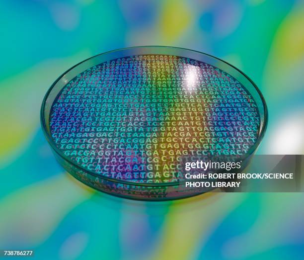 4,986 Semiconductor Wafer Pattern High Res Illustrations - Getty Images