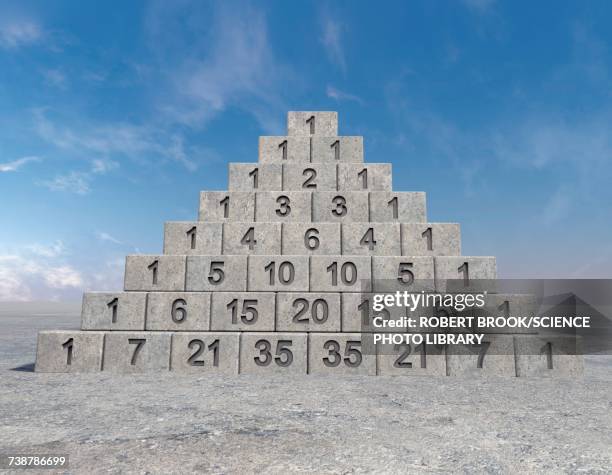 Pascals Photos and Premium High Res Pictures - Getty Images