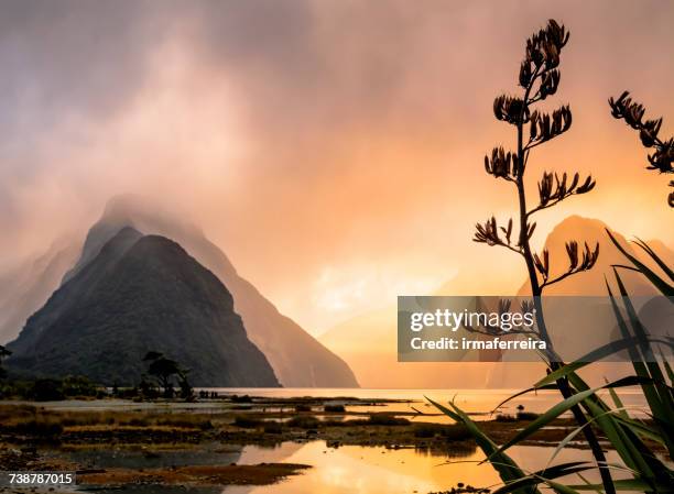 milford sound mist at sunset, south island, new zealand - fiordland national park stock pictures, royalty-free photos & images