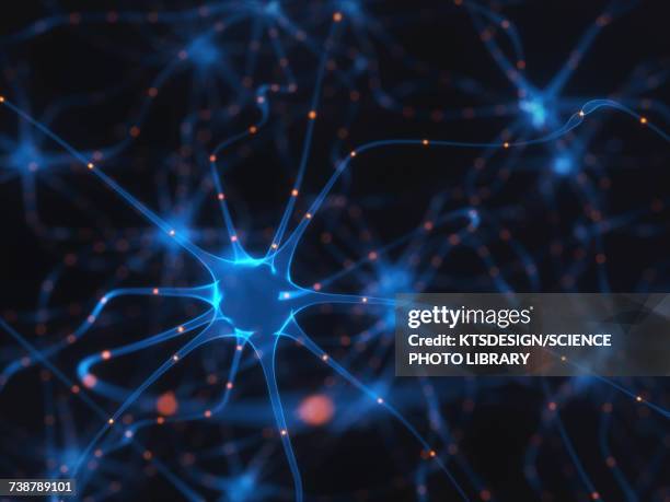 ilustrações, clipart, desenhos animados e ícones de human brain nerve cells, illustration - neurons