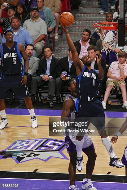 Dallas Mavericks Greg Buckner Photos and Premium High Res Pictures