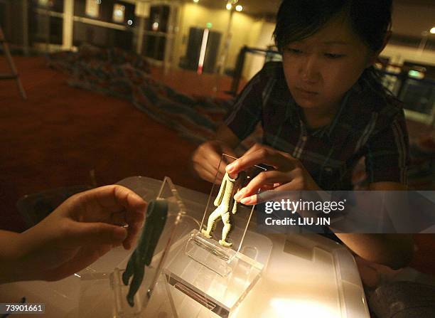 Museum staff prepare the bronze figures for display prior to the opening of the Jinsha Museum in Chengdu, southwest China's Sichuan province 15 April...