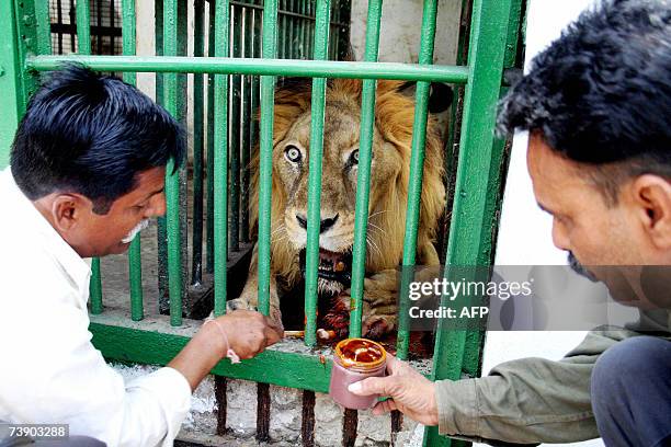 90 Ahmedabad Zoo Photos and Premium High Res Pictures - Getty Images 90 Ahmedabad Zoo Photos and Premium High Res Pictures - Getty Images