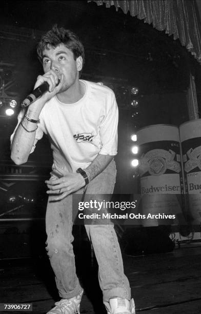 Of the hip hop group the Beastie Boys performs live at the Hollywood Palladium, Hollywood, California, 7th February 1987.