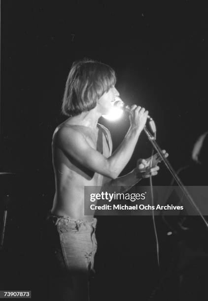 Photo of Iggy Pop.