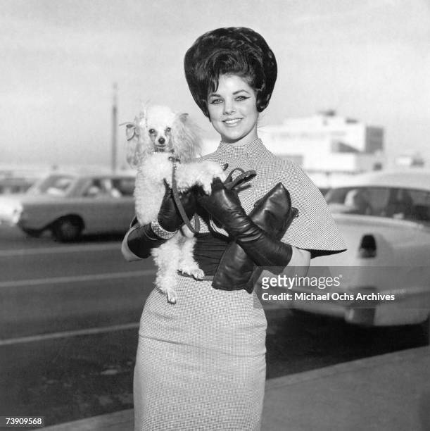 Rock and roll singer Elvis Presley's wife, Priscilla Beaulieu Presley, with her dog, Honey, at Memphis International airport, Memphis, Tennessee,...