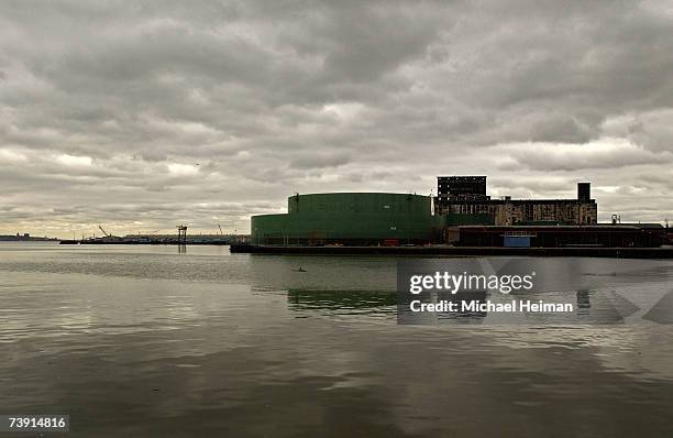 Baby minke whale surfaces while swimming in the Gowanus Bay on April 18, 2007 in the Brooklyn Borough of New York City. The whale, who has been...