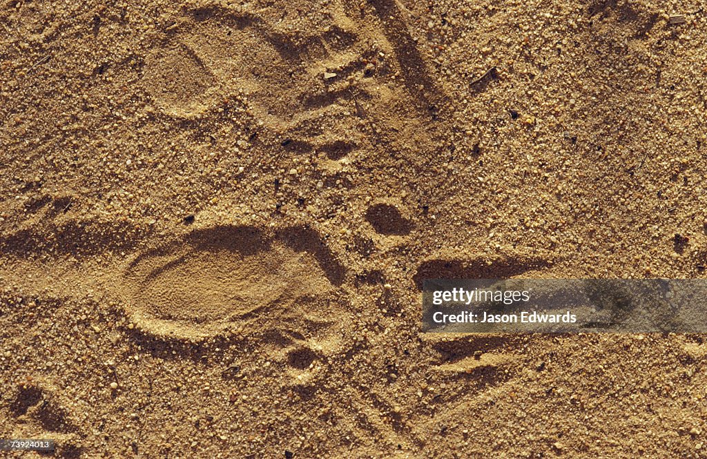 Epping National Park, Scientific, Queensland, Australia.