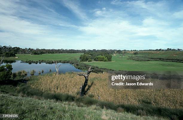 werribee zoo, victoria, australia. - werribee open range zoo stock-fotos und bilder