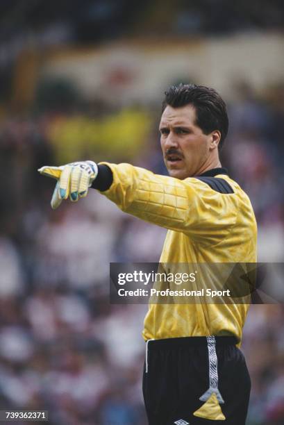 English footballer and goalkeeper with the England national football team, David Seaman pictured in action during an England international match...