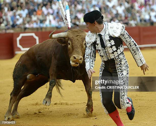 Spanish banderillero runs in front the bull during a bullfight in the Maestranza Bullring in Seville, 20 April 2007. AFP PHOTO/ CRISTINA QUICLER