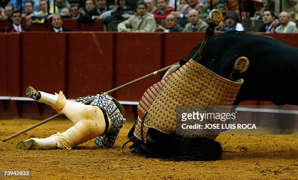 Spanish picador and his horse fall onto the arena ground after a bull tackles them during a bullfight in the Maestranza Bullring in Seville, 21 April...