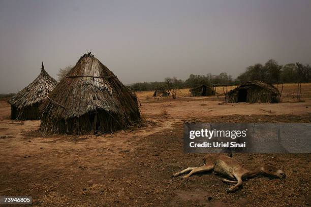 Dead donkey is seen near abandoned huts in a village that was attacked by Janjawid southwest of Goz Beida April 22, 2007 in Chad. Tensions between...