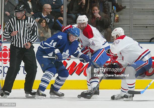 Matt Radek Toronto Maple Leafs Mike Johnson Photos and Premium High Res Pictures ...