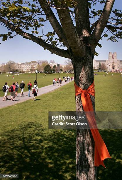 Ribbons adorning the trees on the campus drill field serve as a reminder of last week's tragedy to Virginia Tech students who are returning to class...