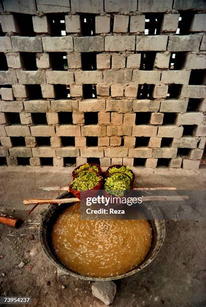 Grape harvest in osier baskets outside a drying shed in Turpan August, 1995 in Turpan, China.