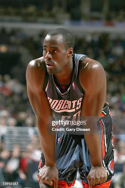 Emeka Okafor of the Charlotte Bobcats stands on the court during the NBA game against the Chicago Bulls at United Center on April 13, 2007 in...