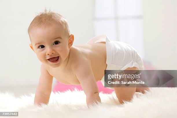 baby boy (6-12 months) crawling - diapers stock pictures, royalty-free photos & images