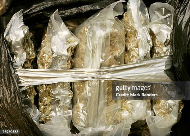 Confiscated bags containing marijuana are displayed at the Brussels Federal Police station on April 24, 2007 in the Belgian capital Brussels. 350 kg...