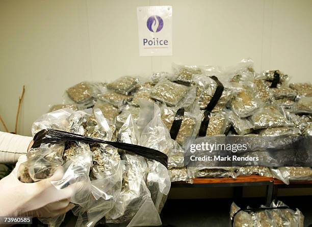 Confiscated bags containing marijuana are displayed at the Brussels Federal Police station on April 24, 2007 in the Belgian capital Brussels. 350 kg...