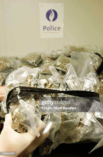 Confiscated bags containing marijuana are displayed at the Brussels Federal Police station on April 24, 2007 in the Belgian capital Brussels. 350 kg...