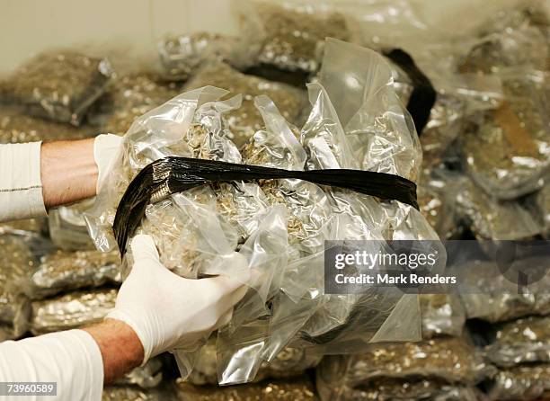 Confiscated bags containing marijuana are displayed at the Brussels Federal Police station on April 24, 2007 in the Belgian capital Brussels. 350 kg...