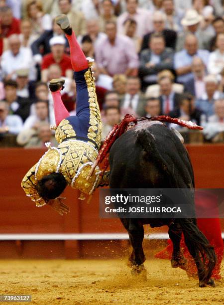 Cesar Rincon 202 Cesar Rincon Stock Photos, High-Res Pictures, and Images - Getty Images