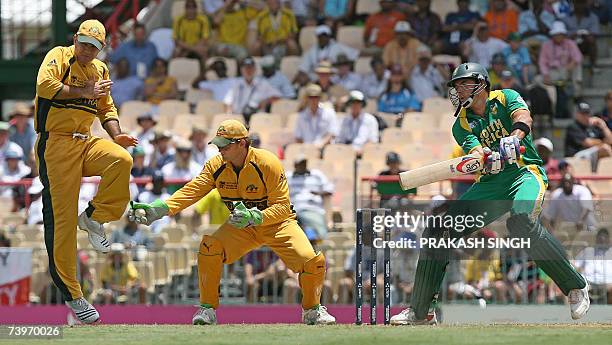 Gros Islet, SAINT LUCIA: Australia's cricket captain Ricky Ponting jumps as Adam Gilchrist catches the ball missed by South African batsman Justin...