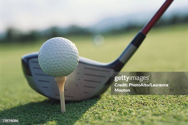 golf club next to teed golf ball - afslag stockfoto's en -beelden