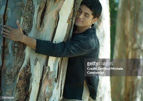 man hugging tree - big hug stock pictures, royalty-free photos & images