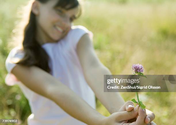 girl holding out flower, focus on flower in foreground - giving a girl head stock pictures, royalty-free photos & images