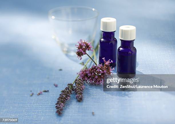 essential oils and herb blossoms - aromaöl stock-fotos und bilder