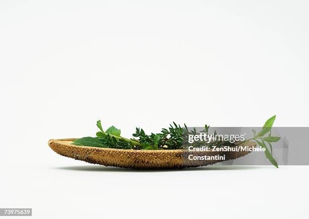 dried husk containing herbs - コウスイボク ストックフォトと画像