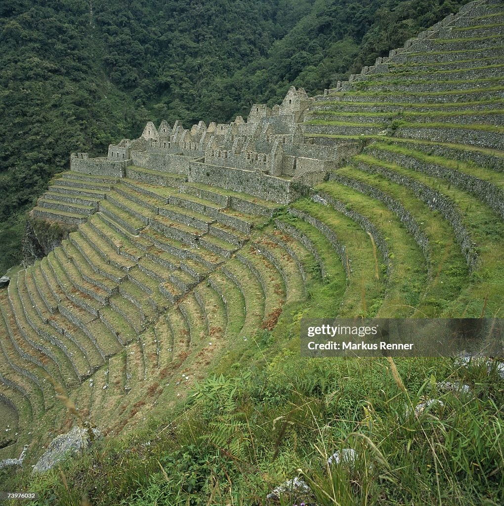 Ruins in terraced fields at Machu Picchu, Andes Mountains, Peru