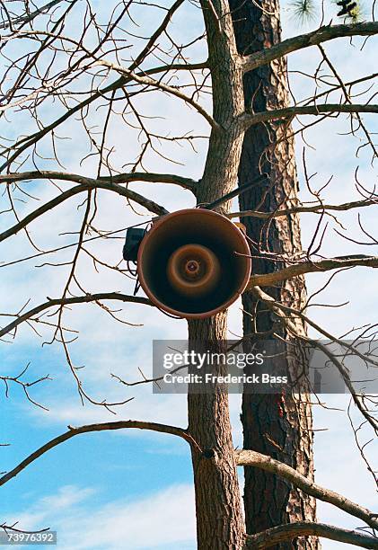 65 Trunk Speakers Stock Photos, High-Res Pictures, and Images - Getty ...