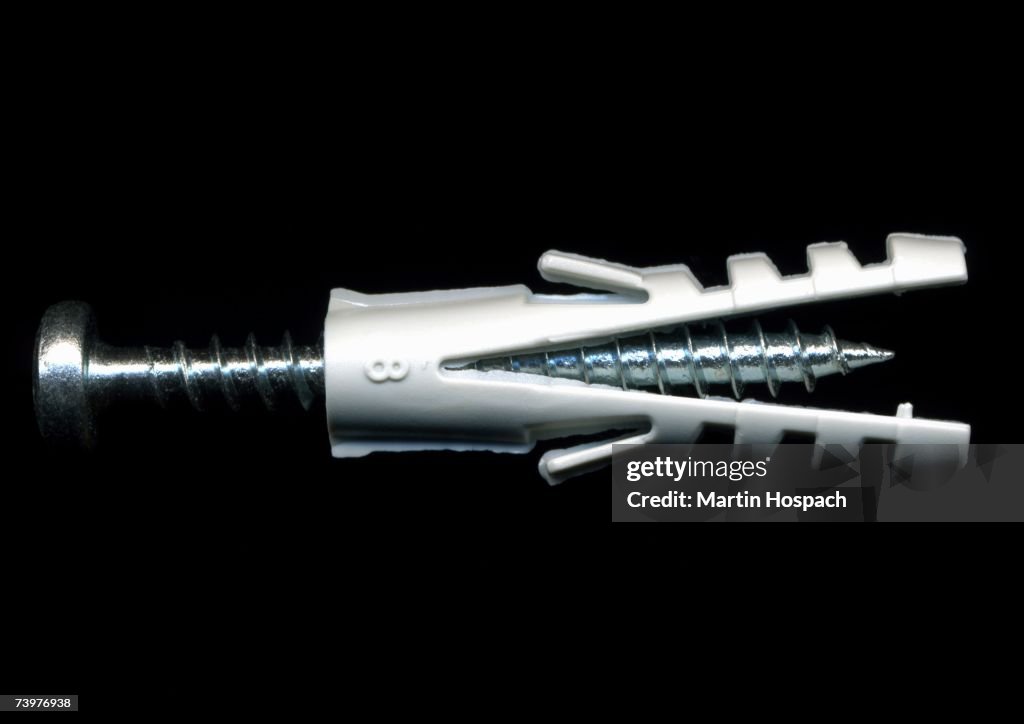 Metal screw in a plastic wall plug