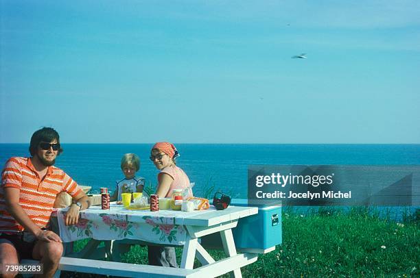 family picnic on a ledge by the sea - summer nostalgia stock pictures, royalty-free photos & images