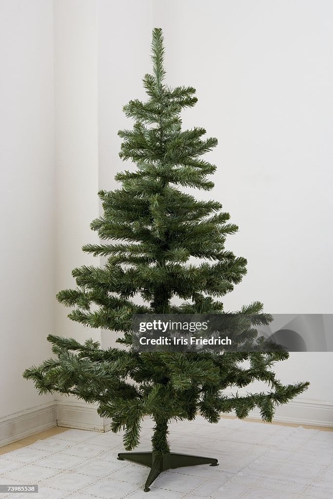 Bare Christmas Tree