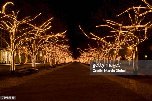 boulevard with illuminated trees, berlin, germany - avenue stock pictures, royalty-free photos & images