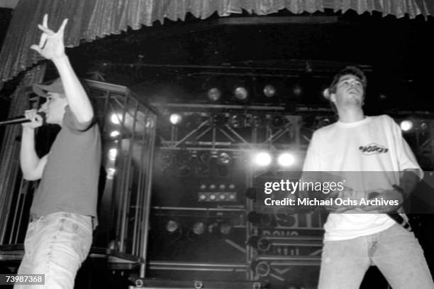 American hip hop group the Beastie Boys perform live at the Hollywood Palladium, Hollywood, California, 7th February 1987.