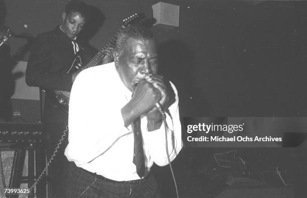 Photo of Wolf Howlin